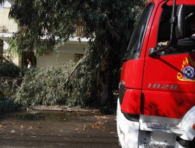 Αττική: Πάνω από 100 κλήσεις στην Πυροσβεστική για πτώσεις δέντρων και πινακίδων λόγω ισχυρών ανέμων